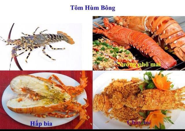 Khach San Thu Linh Otel Thanh Hóa Dış mekan fotoğraf