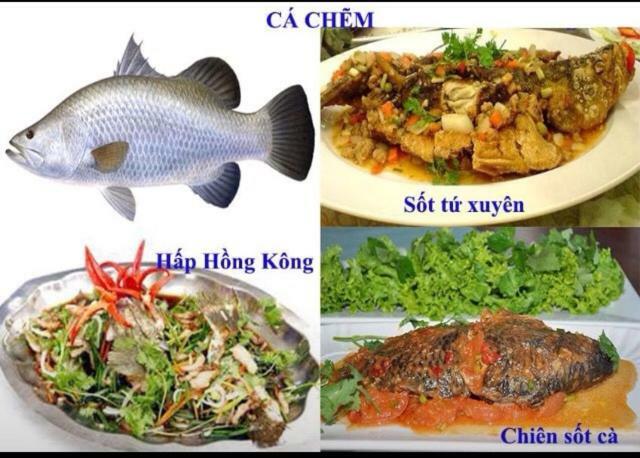 Khach San Thu Linh Otel Thanh Hóa Dış mekan fotoğraf