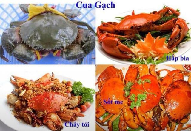 Khach San Thu Linh Otel Thanh Hóa Dış mekan fotoğraf