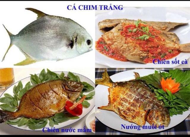 Khach San Thu Linh Otel Thanh Hóa Dış mekan fotoğraf